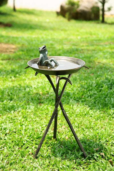 Frog Birdbath