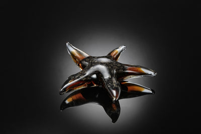 Art Glass Dark Starfish