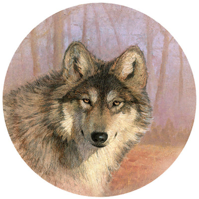 Untamed Wolf Spirit Coasters