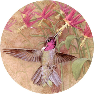 Winged Jewel Hummingbird Coasters