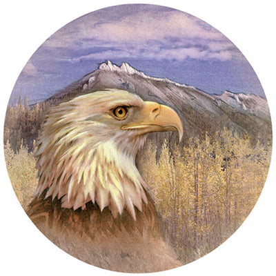 American Pride Eagle Coasters