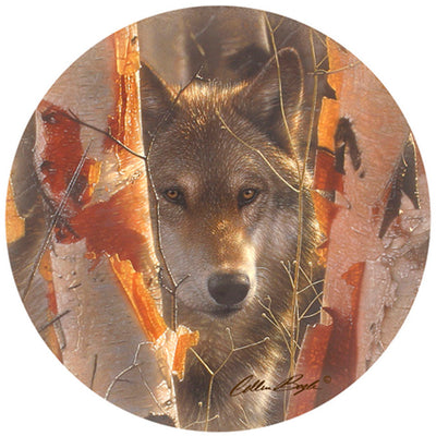 Birch Wolf Coasters