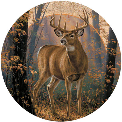 Buck in Woodland Mist Coasters