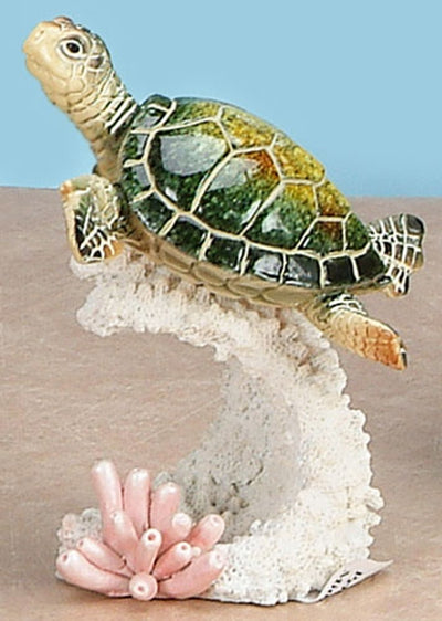 Peaceful Turtle