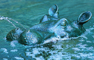 Hippo Head Fountain